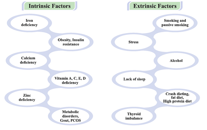 Hair Loss Factors